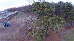 The little white dot in the center of the red circle is my Hubsan X4 H107L that kind of got away from me on a windy day.  I was finally able to locate it in that tree with the help of my Phantom 2 Vision, but I know I'll never be able to retrieve the damned thing... 